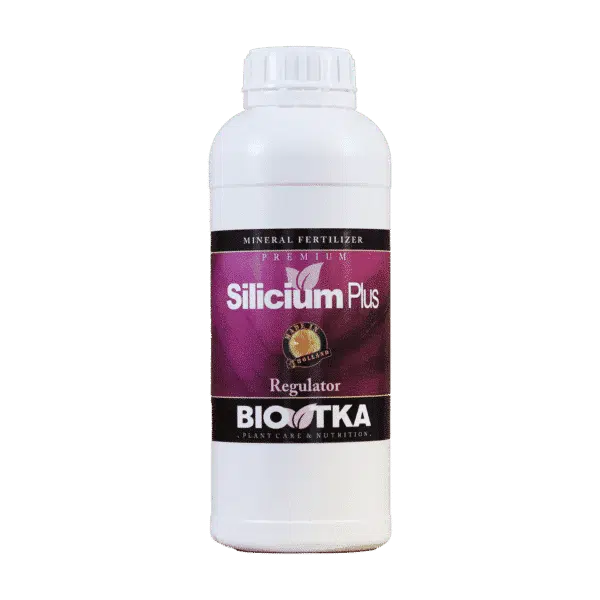 Silicium Plus | Regulatoren | Sporenelement voor plantenzetmeel | Bio TKA® 1L